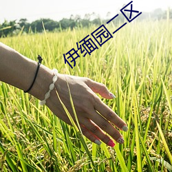伊缅园二区
