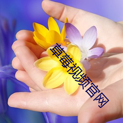 草莓視頻官網