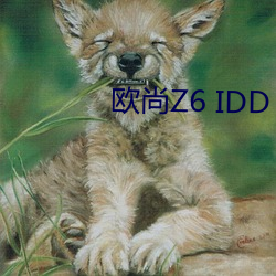 欧尚Z6 IDD