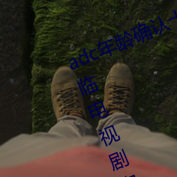 adc年龄确认十八岁欢迎您的大驾光临电视剧完整版在线观看 （业界）