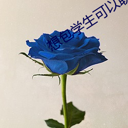 想包学生可(可)以(以)联系(系)