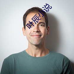 叶辰小(xiǎo)说