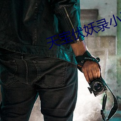 天寶伏妖錄小說