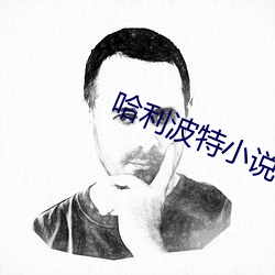 哈利波特小说