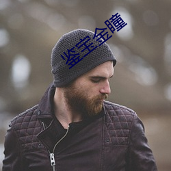 鉴(jin)宝金瞳