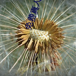 米乐M6·(中国)官方网站