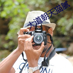 大道朝天貓膩