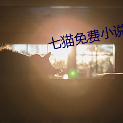 七猫免费小说