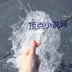 顶点小说网