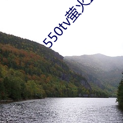 550tv螢火直播app下載