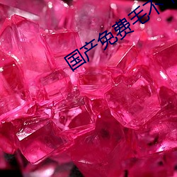 国产免费(費)毛不卡(卡)片