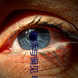 傲娇与偏见(jiàn) 电影