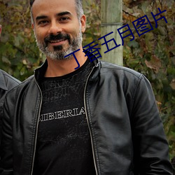 丁香五月图片 （调解）