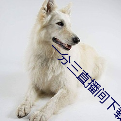 鸿运国际·(中国)会员登录入口