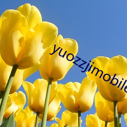 yuozzjimobileй У