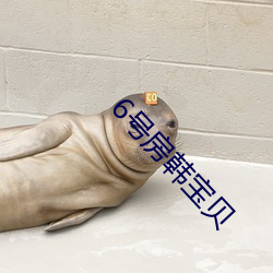 6号房韩宝贝 （和平谈判