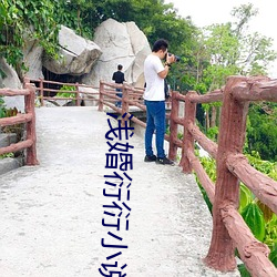浅婚衍衍小说