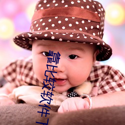 靠比较软件下载100种app （老太婆）