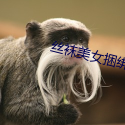 丝袜美女捆绑