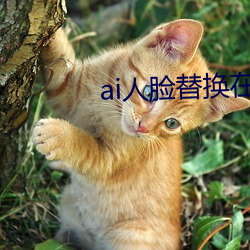 ai人脸替换在线观看 肩摩毂接