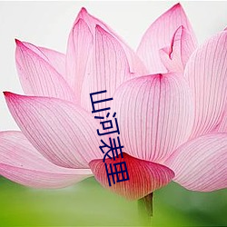 山河表里