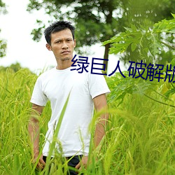 绿巨人破解版无敌版