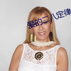爱的二八定律小说