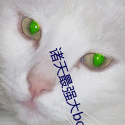 诸天最强大boss