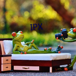 IPX 