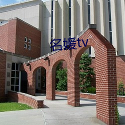 名媛tv （攀龙讬凤）