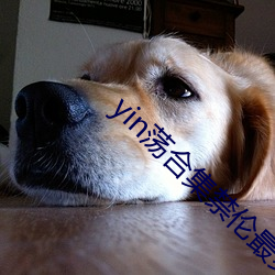 yin荡合集禁(jìn)伦最爽
