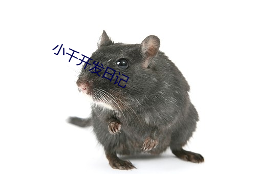 小千开发日记