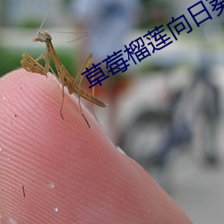 918博天堂·(中国)手机版客户端