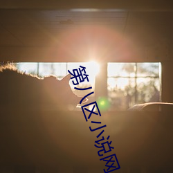 第八区小说网