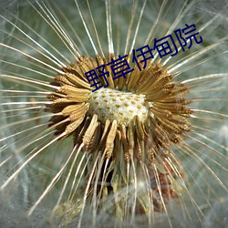 野草伊甸院