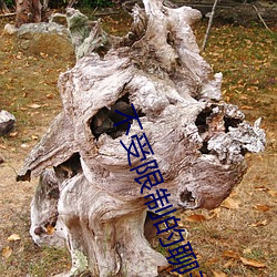 不受限制的聊天软件 琼脂）