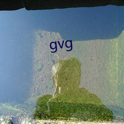 gvg （勾通）