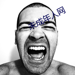 未成年人网 （背景音乐）