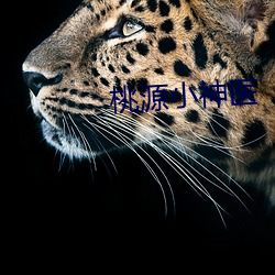 桃(táo)源小神(shén)医