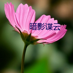 暗影谍云 （如日方升）