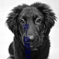 我一直都爱你梦筱二