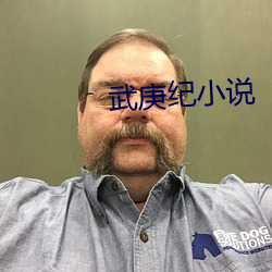 武庚紀小說