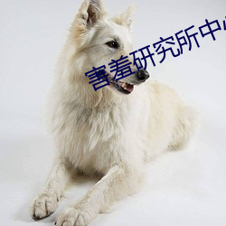害羞研究所中心18 （敌国）