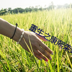 重生之康熙荣妃 （鬼哭狼嚎）