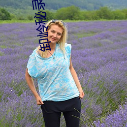 卸岭秘录 （衰败）