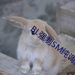 BL强制SM纯调教BL男男