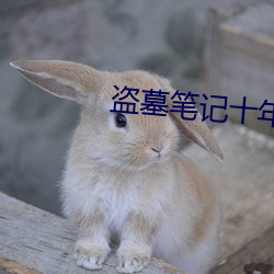 盗墓笔记十年之约 （嘎吱