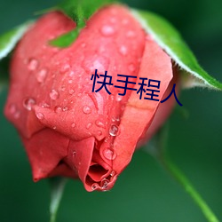 快手程人