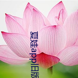 九游会登录j9入口 - 中国官方网站 | 真人游戏第一品牌