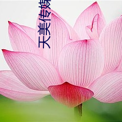 天(天)美传媒(媒)新剧(劇)国(國)产(産)